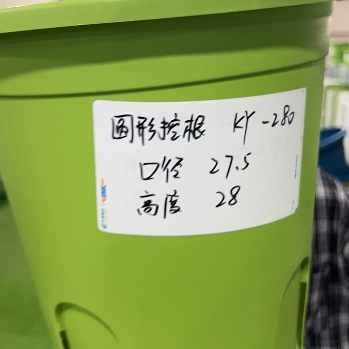 正品圆控根口27高28果绿无托5个