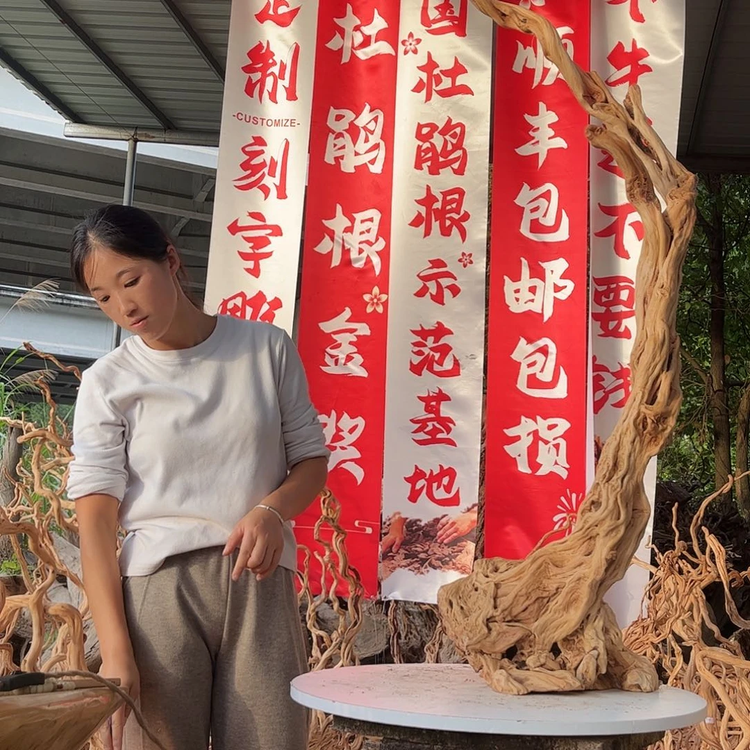 无***达木458级积极积极吧