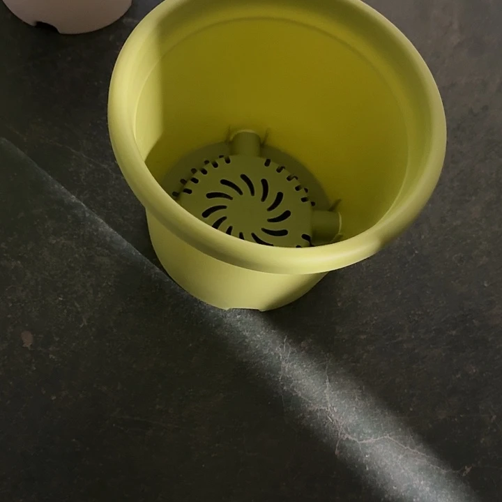 四季3号果绿带托10套特价微瑕