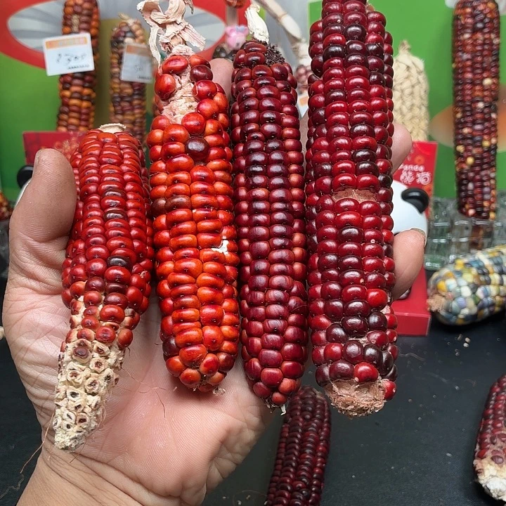 瀚***斋柏香籽/百香籽吊坠