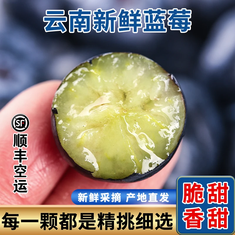【顺丰空运】云南花香蓝莓鲜果L25新鲜水果香脆甜鲜现摘现发125g/盒
