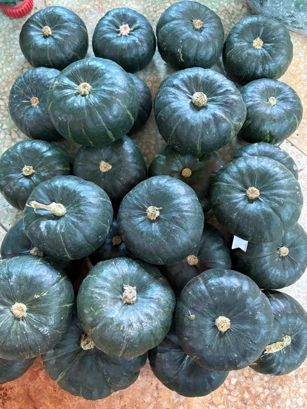 【云货心选】贝贝迷你南瓜