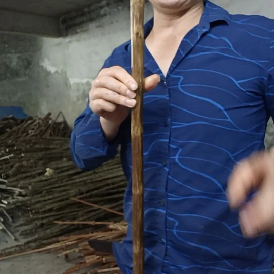 稳定木原**你高山 檬子木文玩料