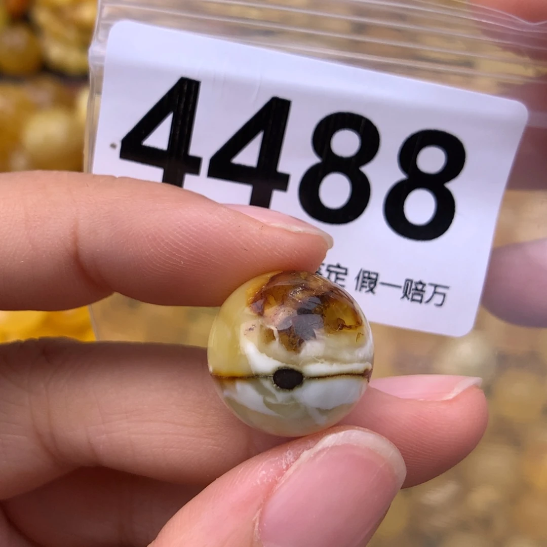 未镶嵌蜜蜡珠宝奇石16.9