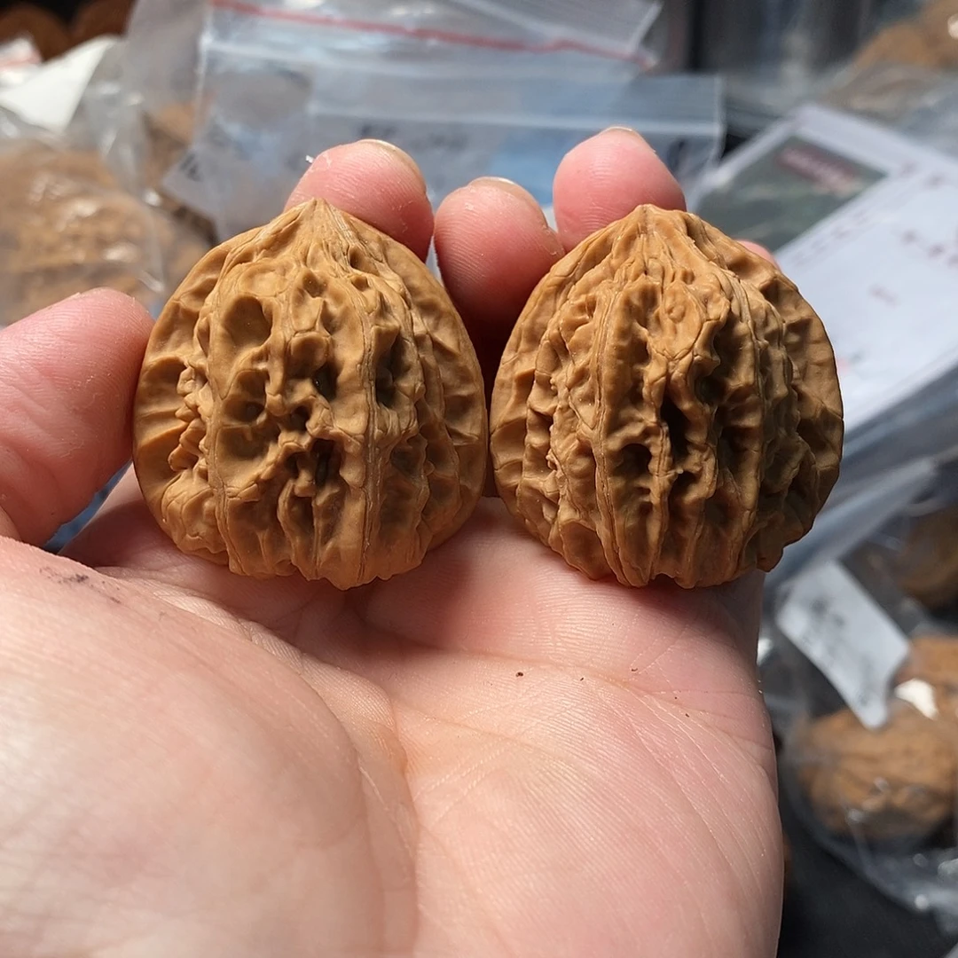 1文玩核桃上古金蟾38-512