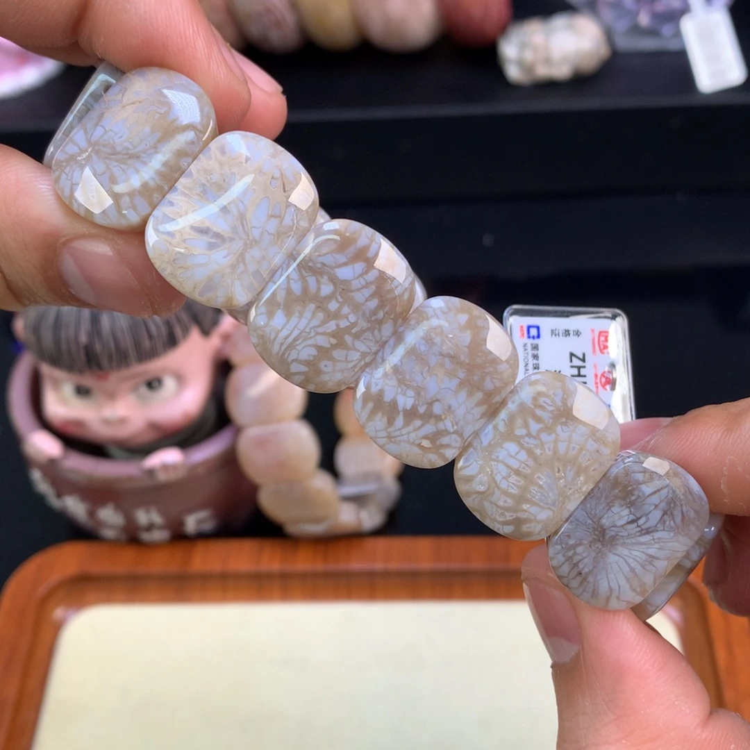 硅化珊瑚（珊瑚玉）未镶嵌颈饰50号黑篮龙骨