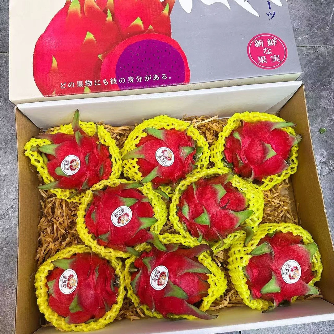 红心火龙果礼盒 8枚果