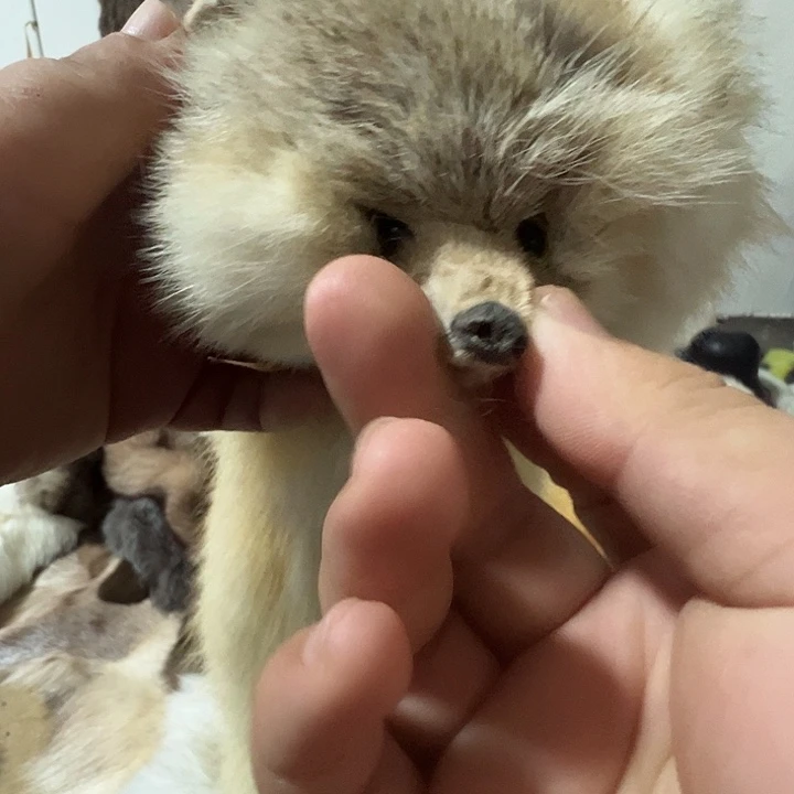 R***Y围脖围脖围巾围脖