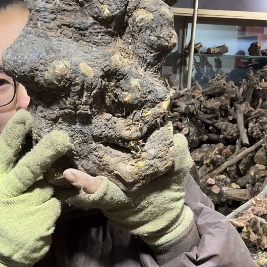 香榧木二**说火琉璃的故事毛料摆件