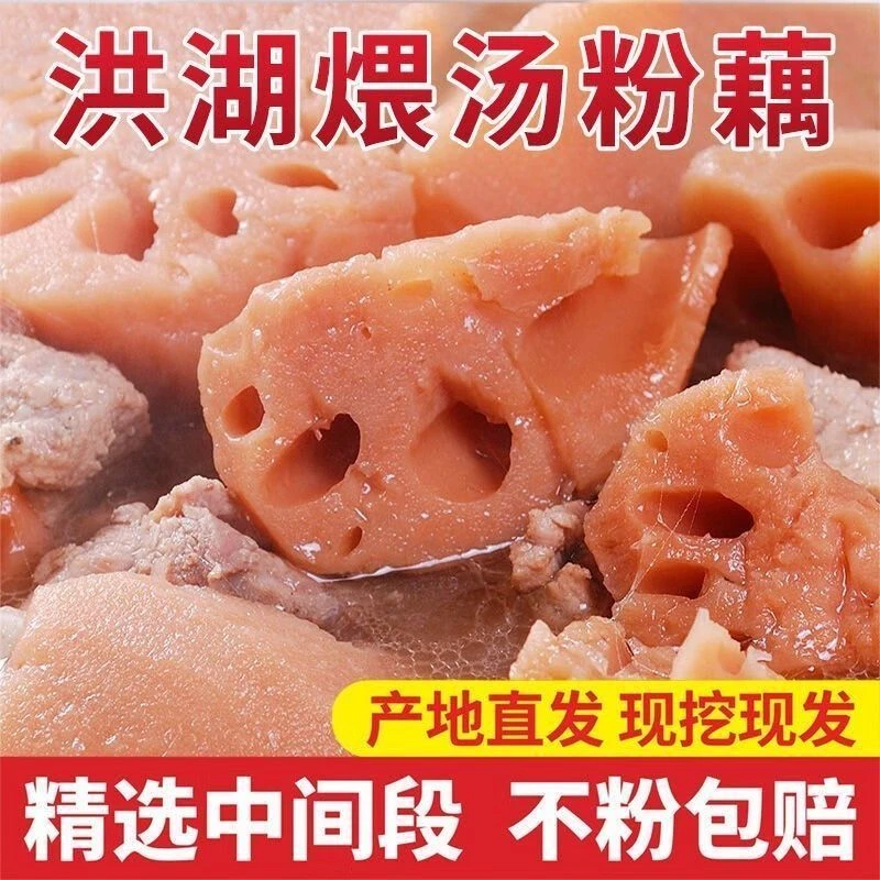 正宗洪湖莲藕新鲜煲汤莲藕粉糯排骨汤糯米藕湖北特产煲汤粉藕现挖