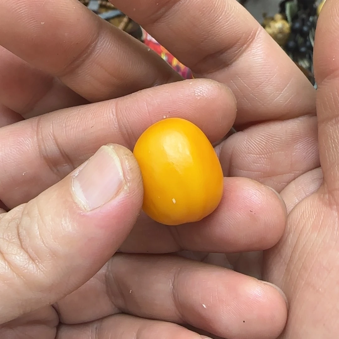 凤眼菩提手串可***宝手串