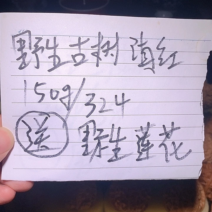 文玩核桃手把件活动