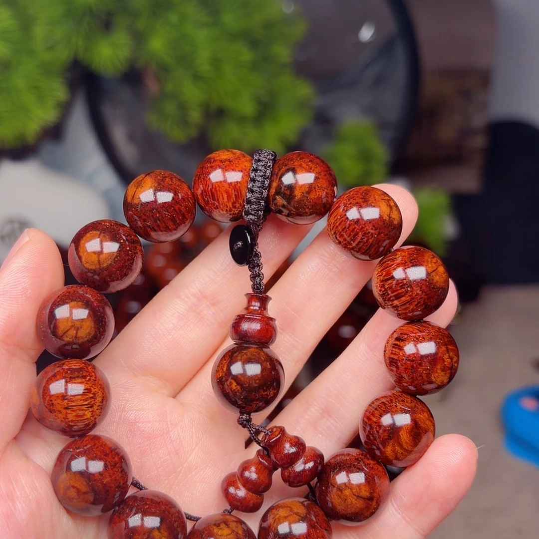 黄花梨/降香黄檀任