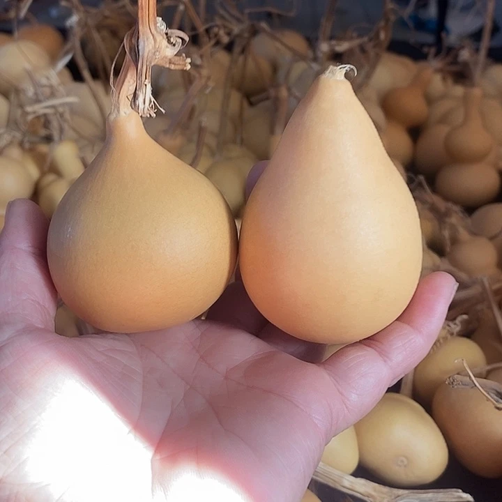 葫芦的颜色很好看微瑕