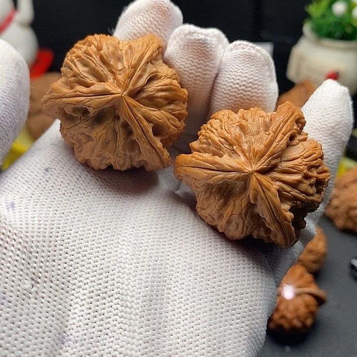 核桃38白狮子球奔