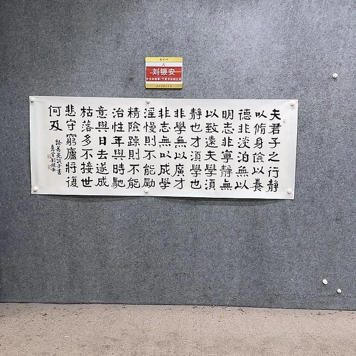 书法中书协理事刘银安老师