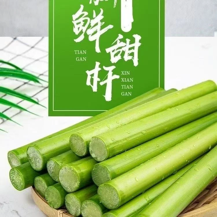 东北新鲜甜杆甜芦粟小甘蔗清香可口儿时回忆顺丰冷链包邮