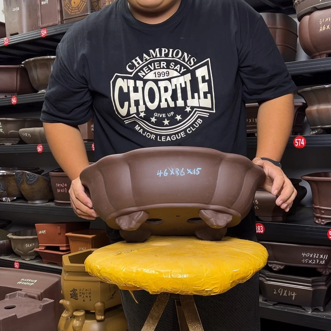 紫砂花盆呜呜呜呜我的宝