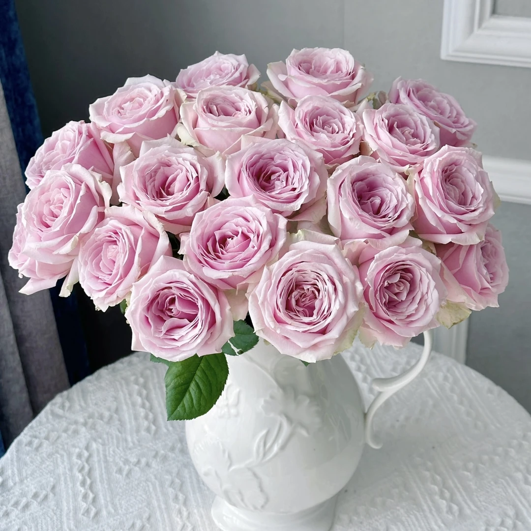 【粉红雪山玫瑰花】10枝昆明鲜花批发次日达顺丰包邮到家 冷丰鲜花基地直发