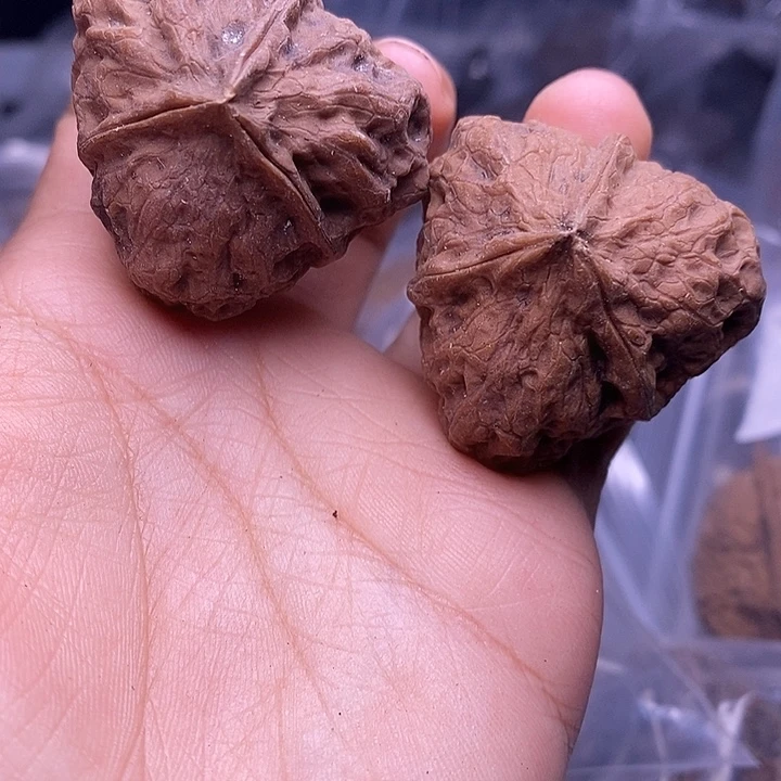 叶***子文玩核桃把件   229