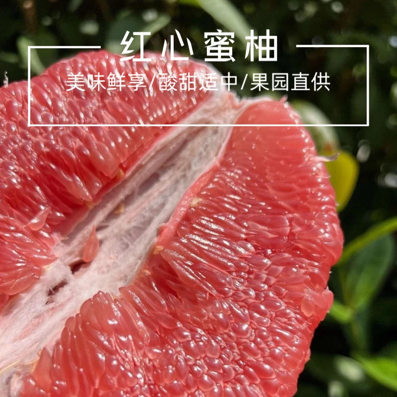 【红心蜜柚】福建红心柚子红果肉薄皮新鲜酸甜多汁果园直发编织袋gy