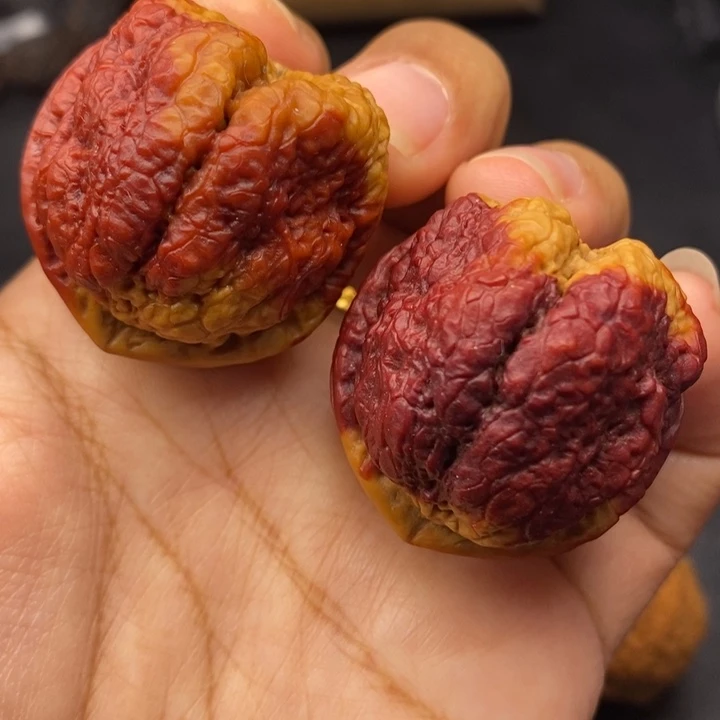 文玩核桃把件40尺蝴蝶蟾