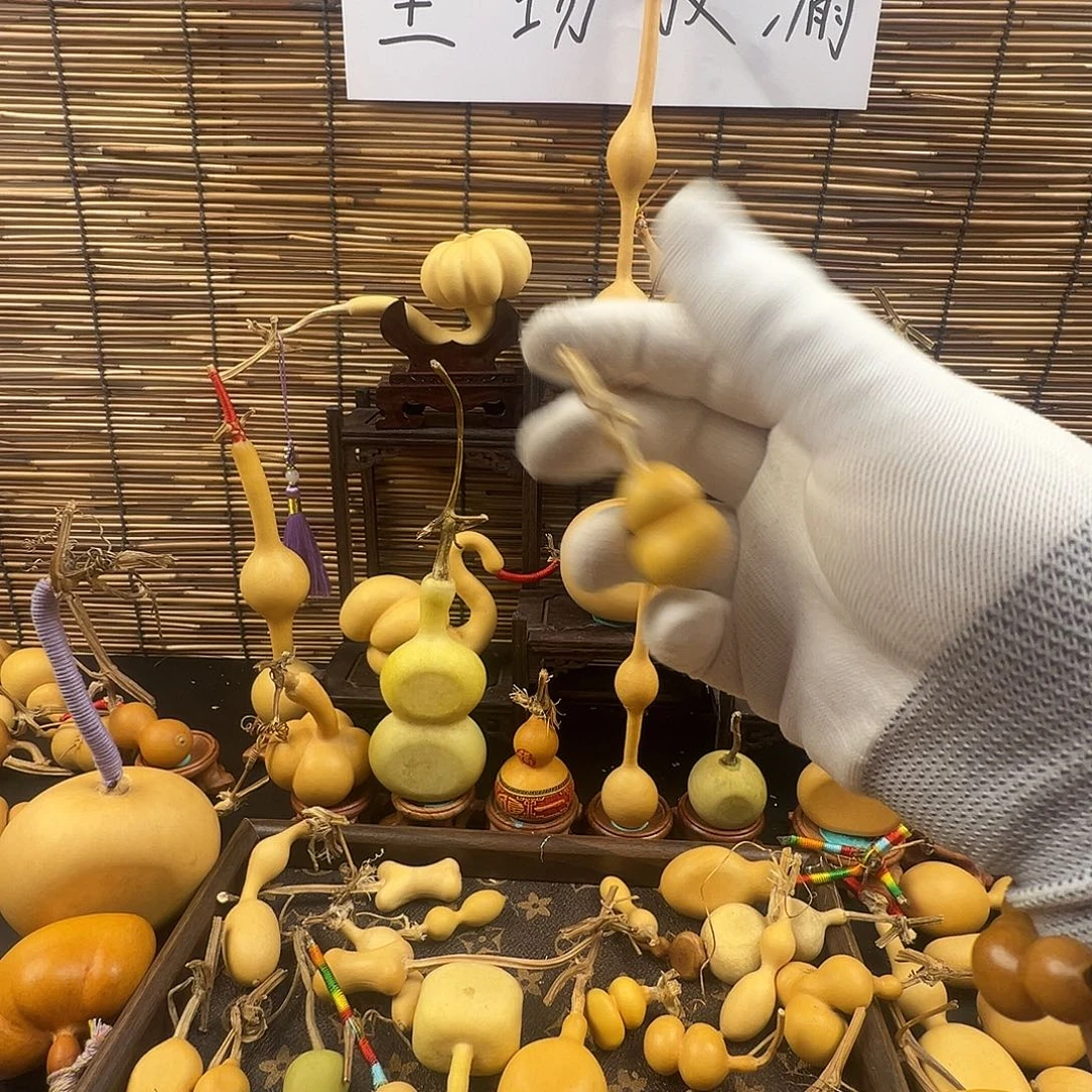骑***慧葫芦葫芦葫芦葫芦过来葫芦
