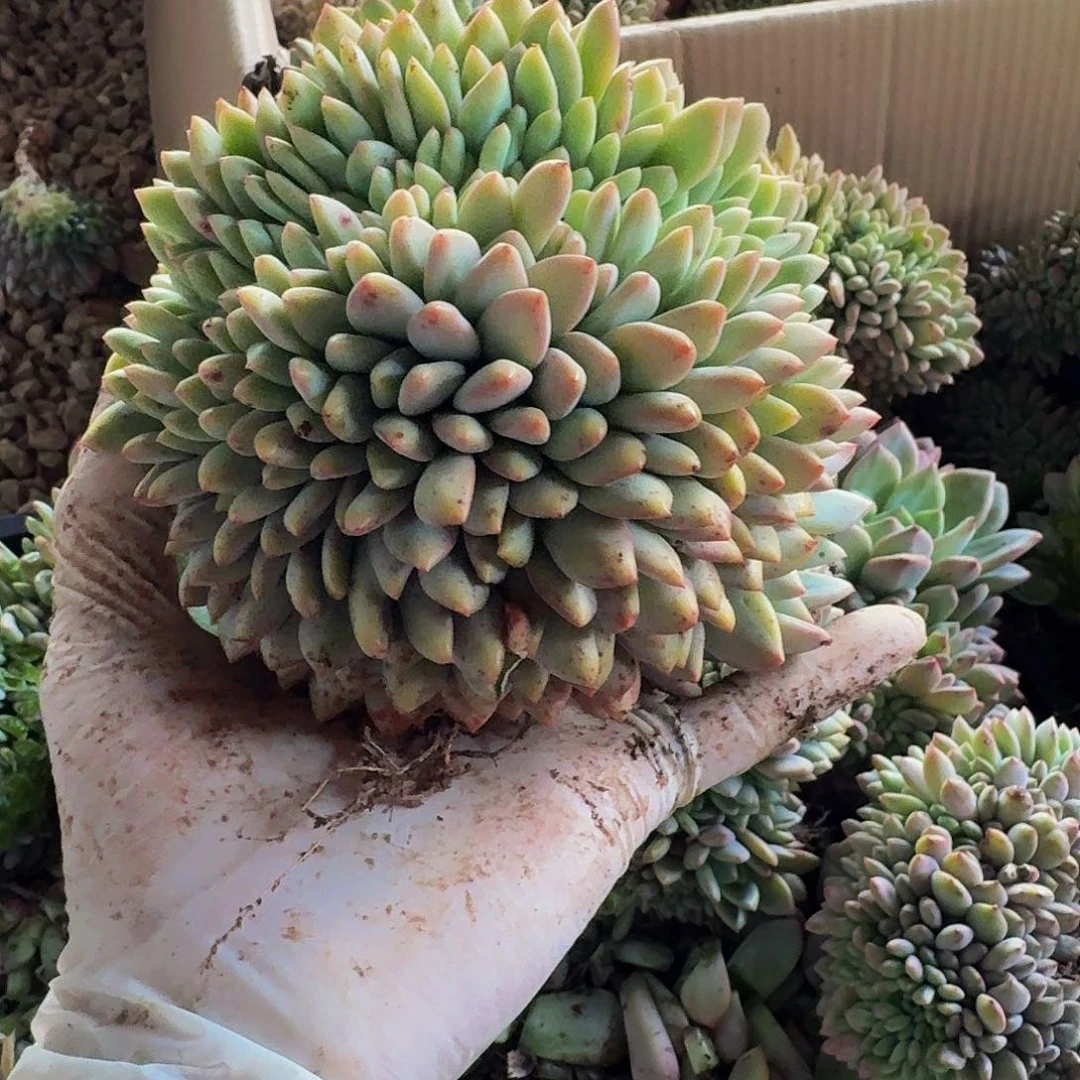 贝*哈哈哈哈哈哈哈哈哈哈哈