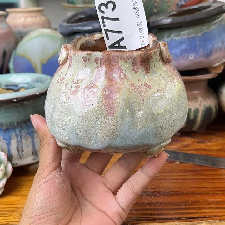 重庆小燕子欢迎大家772