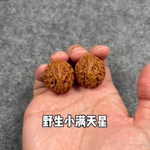 文玩核桃小手捻 打底野生小满天星纹路 尺寸约2.4cm