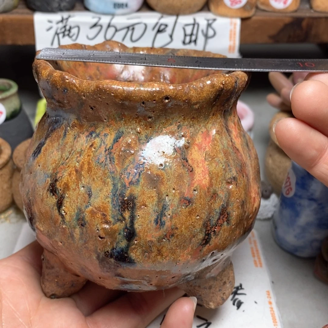 红陶拍5送一个小