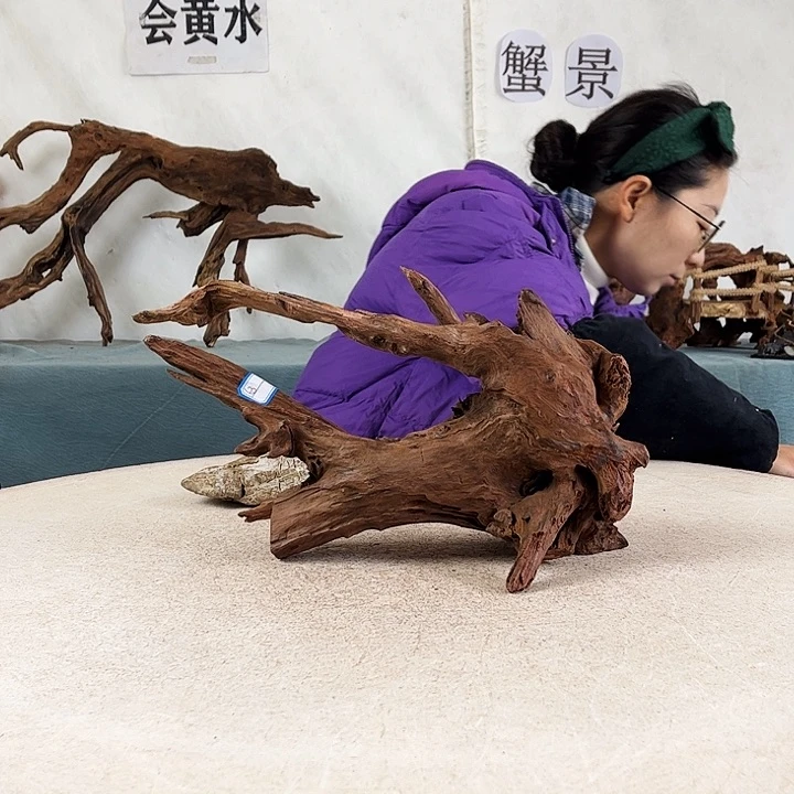 沉木造景爬宠造景