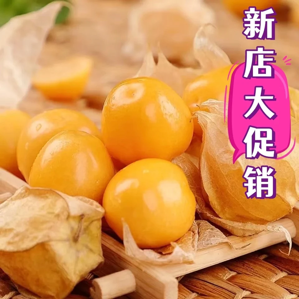 东北当季新鲜姑娘果清甜多汁产地直发稀有水果满口爆汁的夏日惊喜