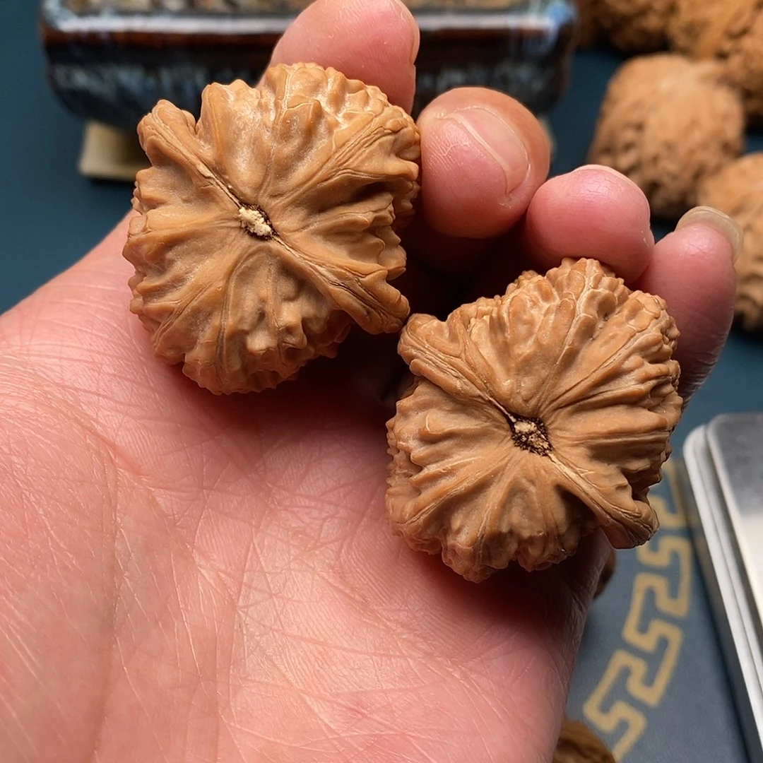 文玩核桃白狮子38全品