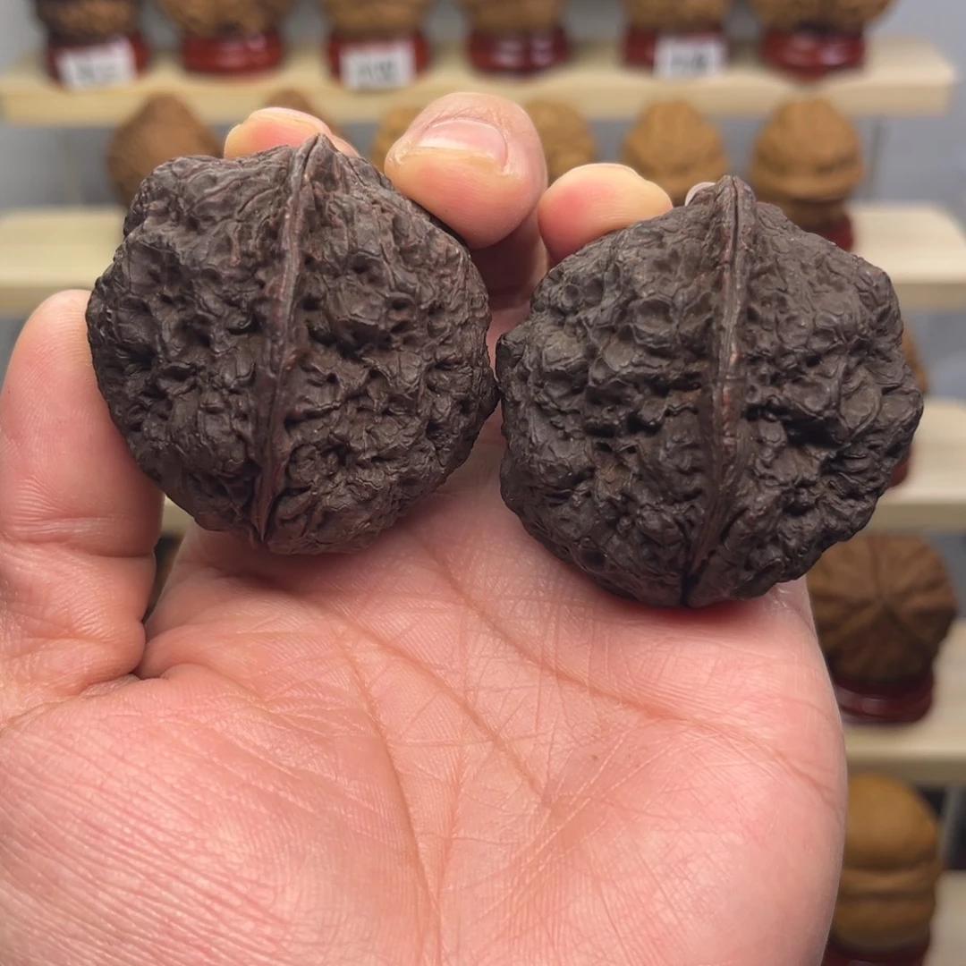 核桃金刚佛手44尺