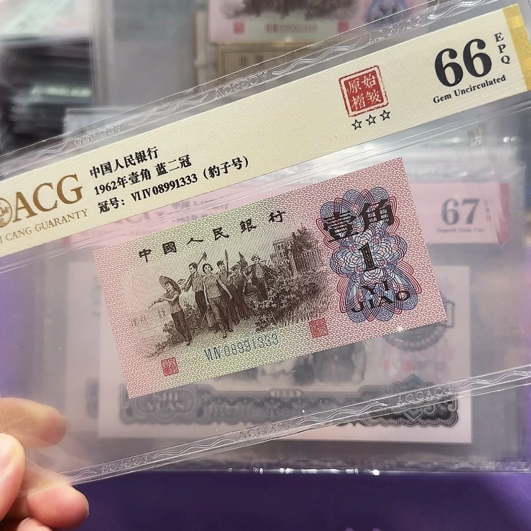 纸08991333豹子号褶皱