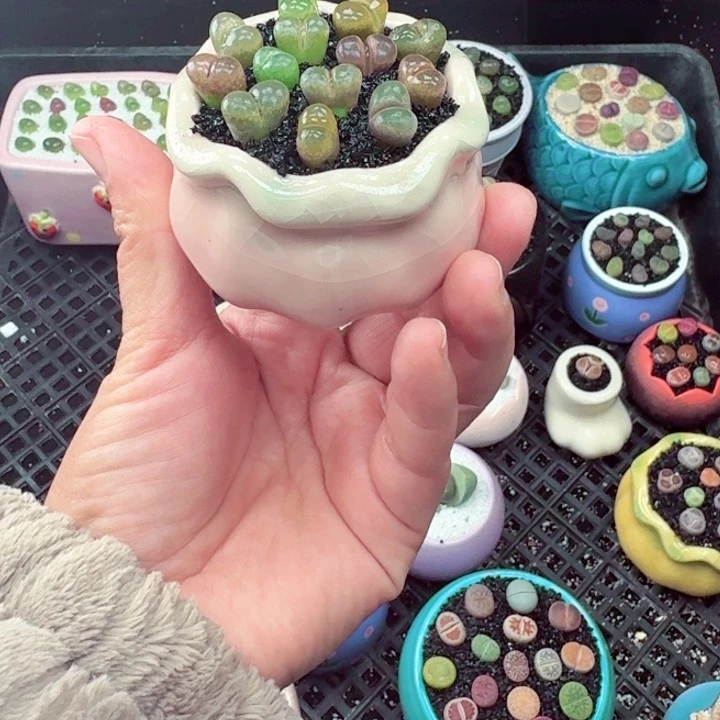 509零下地区记得拍保温箱满18包邮