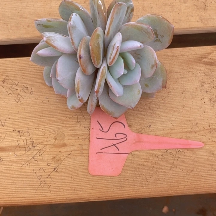 峻***巴这个我都看出来这一