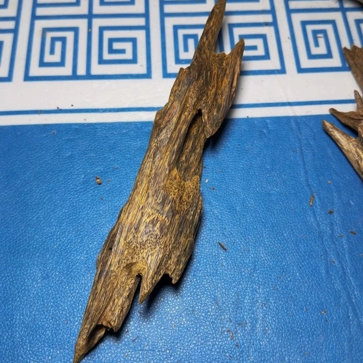 秋***子木质母树红奇树心油94克