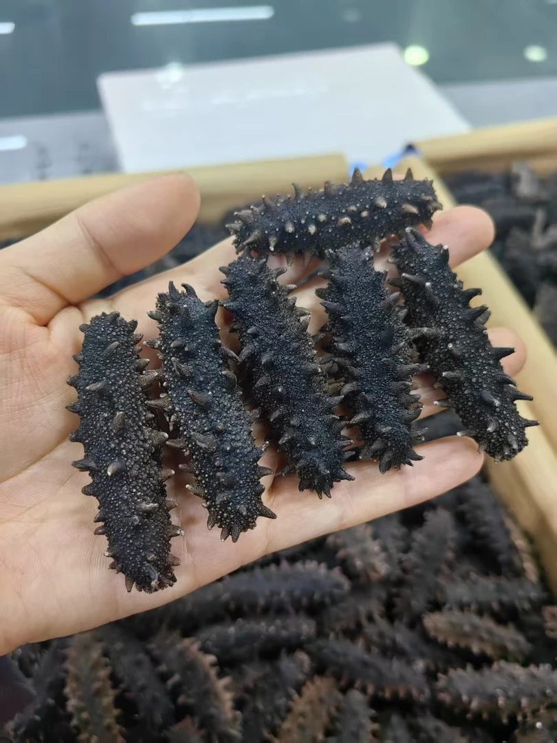大连海参辽淡干纯干海参(试吃一只)
