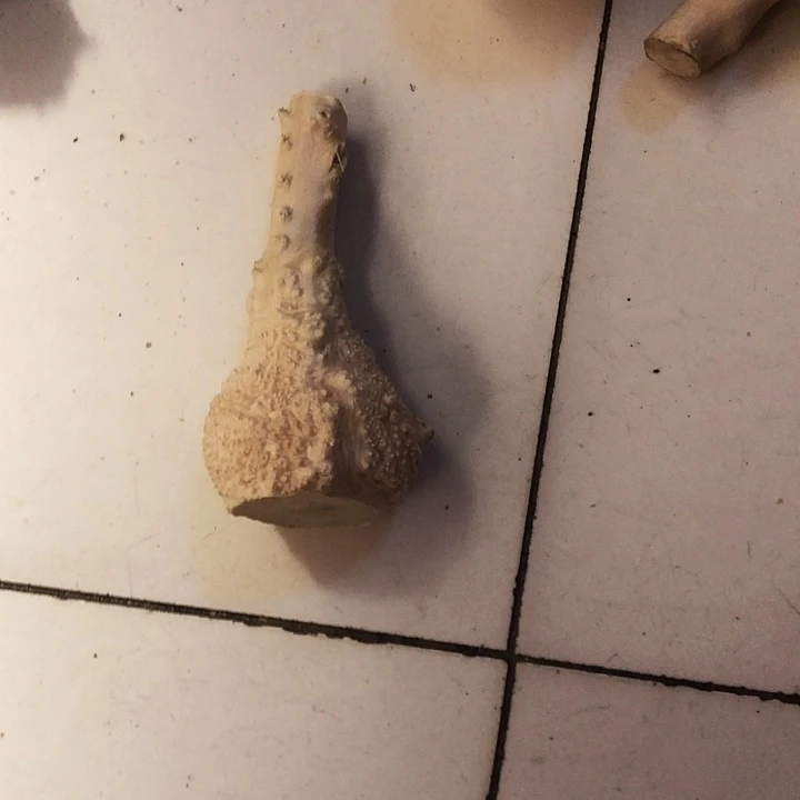 汪***海木木料木料木料木料