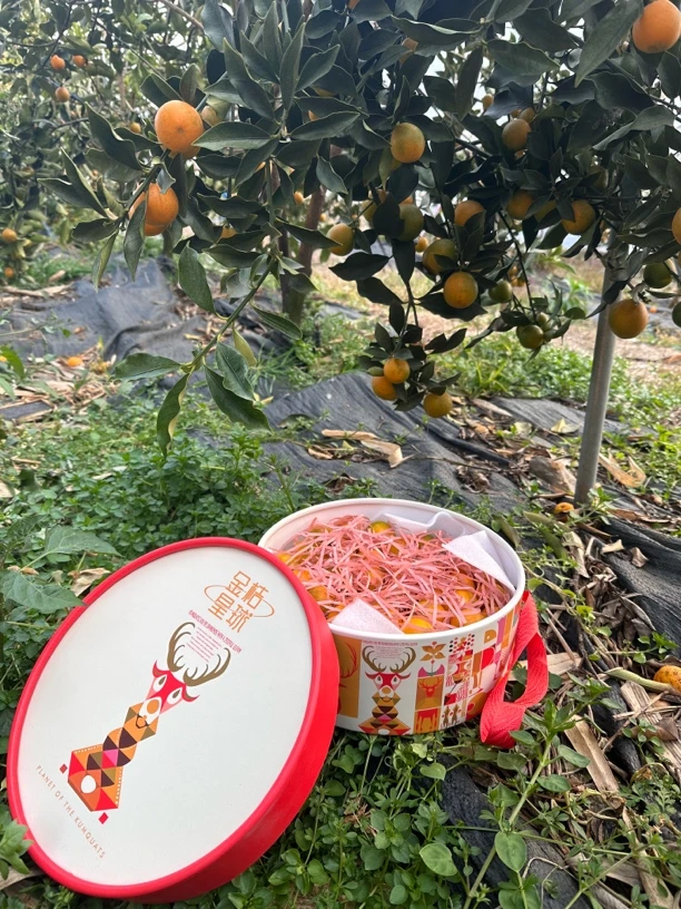 【顺丰包邮】融安金桔•第二代融安金桔3斤装•盒子图案随机•圆礼盒