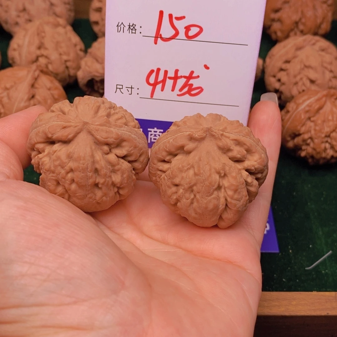 文文玩核桃霸王龙核桃