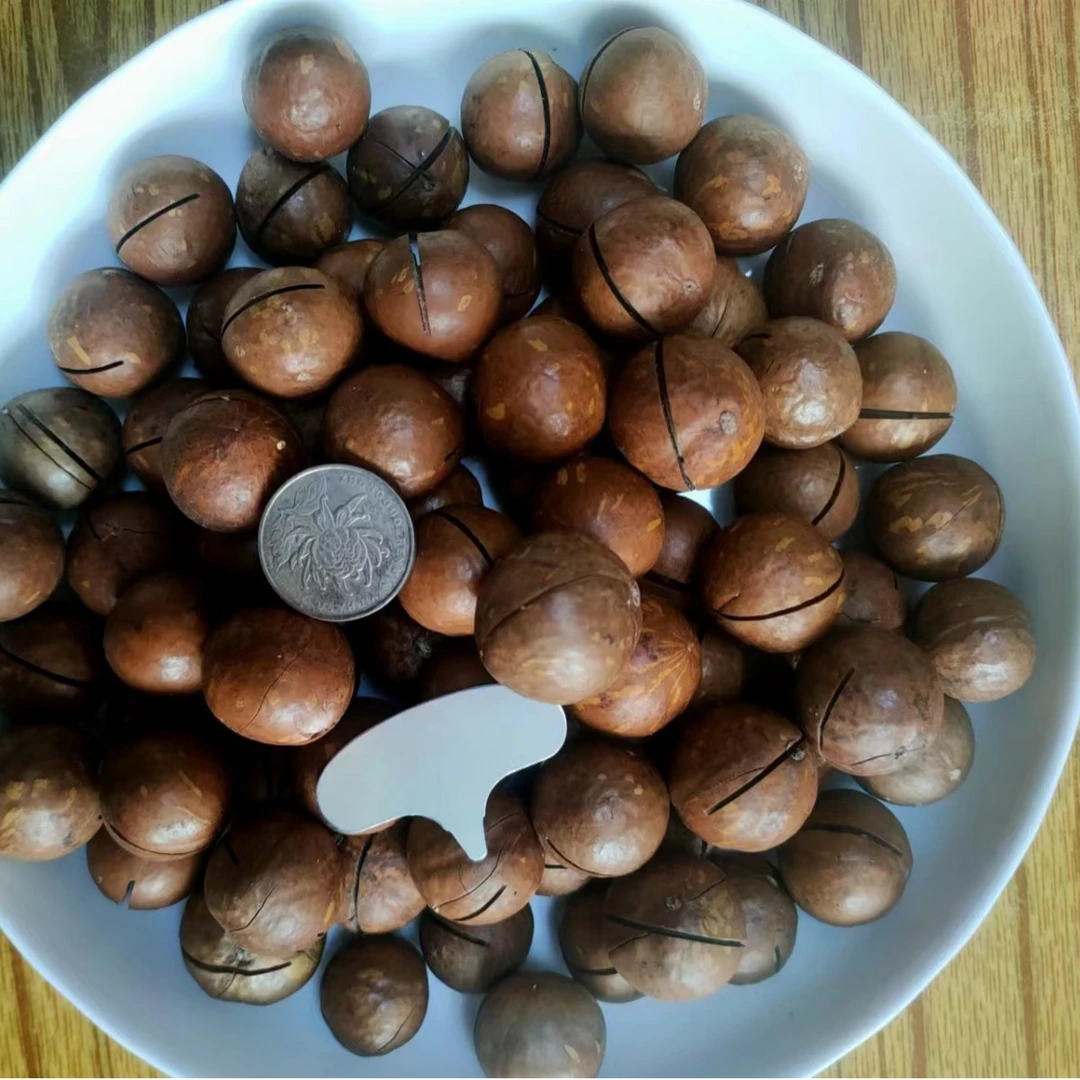 代发奶油夏威夷果批发250g 薄皮手剥胡桃果年货坚果零食夏威夷果