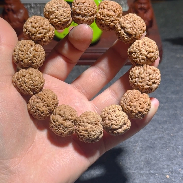 信****吊坠金刚菩提土地的环境