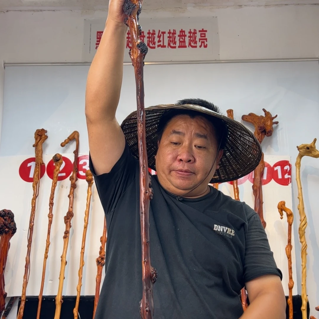 军***哥黑果木其他黑果木247