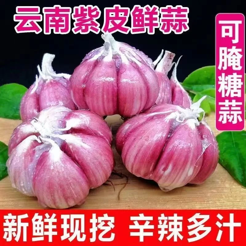云南新鲜紫皮蒜现挖湿蒜蔬菜香蒜厨房必备调味料农家2斤3斤5斤