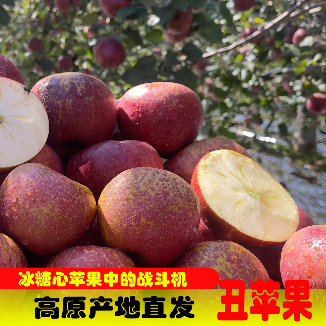 高原大凉山盐源冰糖心丑苹果纯甜脆多汁新鲜果园现摘产地包邮水果
