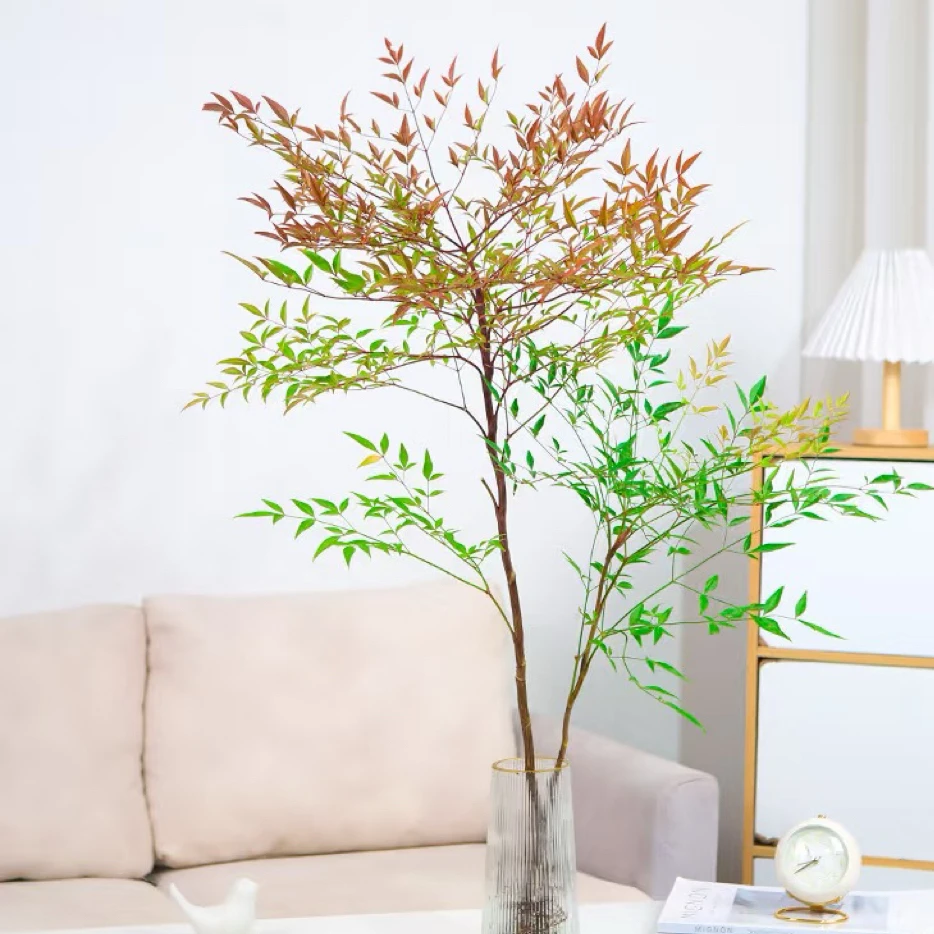 南天竹盆栽庭院绿植耐寒观叶植物室内室外老桩盆景