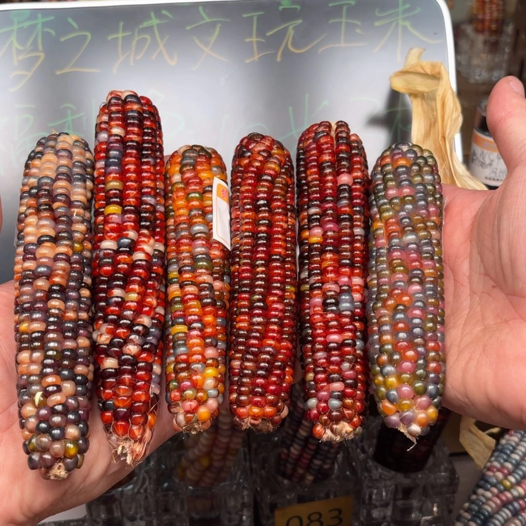 柏香籽/百香籽吊坠。****香